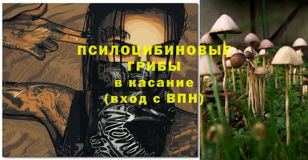 синтетический гашиш Каменногорск