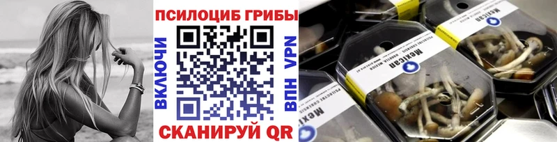 Галлюциногенные грибы Psilocybine cubensis  Купить  Закаменск 